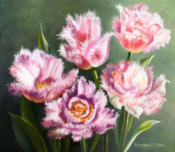 Tulips Queensland. Khrapkova Svetlana