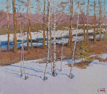 Spring is at its height. Panov Igor