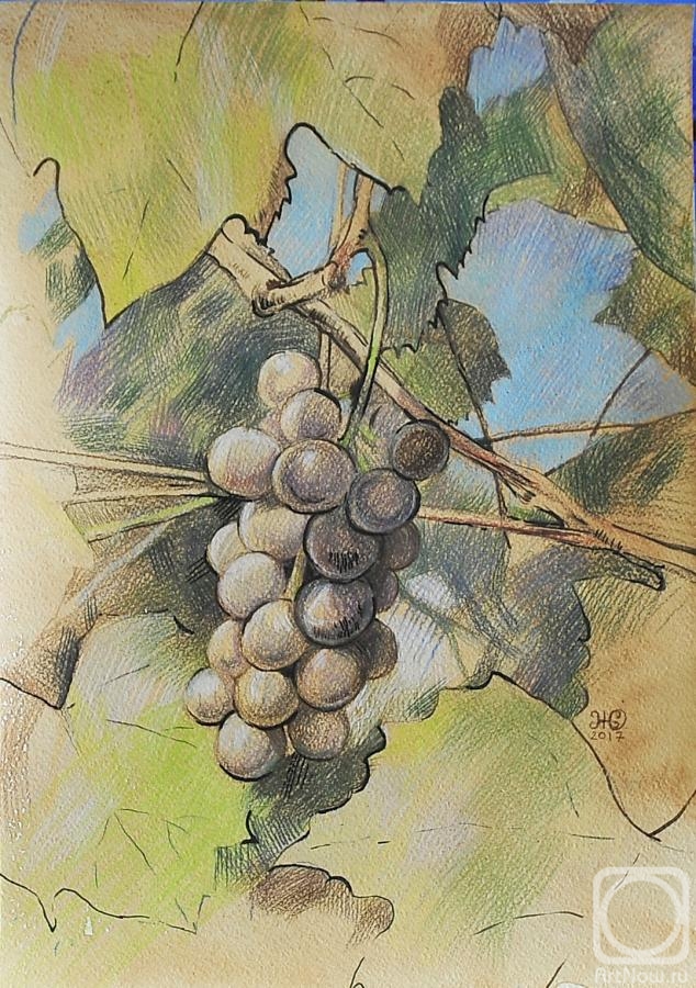 Zhukovskaya Yuliya. Grapes on the vine