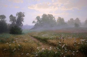 Flowering meadow on a summer morning