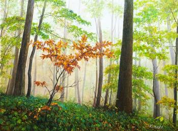 ������� ������� �� �������� ��������