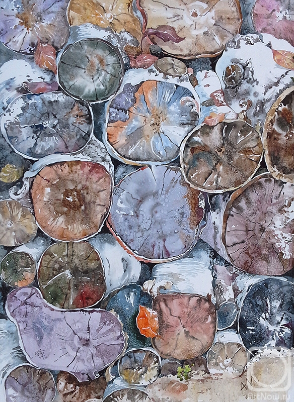 �������. �������� ����. �����