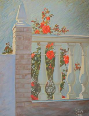 Red roses behind a white balustrade. Dobrovolskaya Gayane