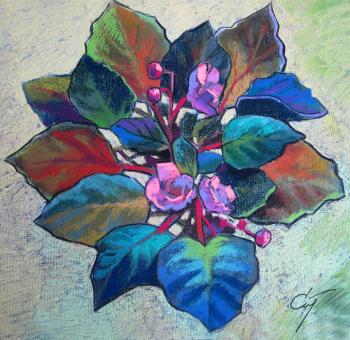 The colors of the flowers