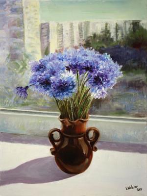 Cornflowers (Vas). Volosov Vladmir