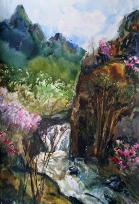 View of the waterfall on the Kaspa River. May. Maral blossoms. Kruppa Natalia