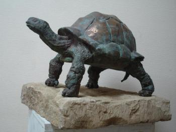 big turtle. Gomanov Evgeny