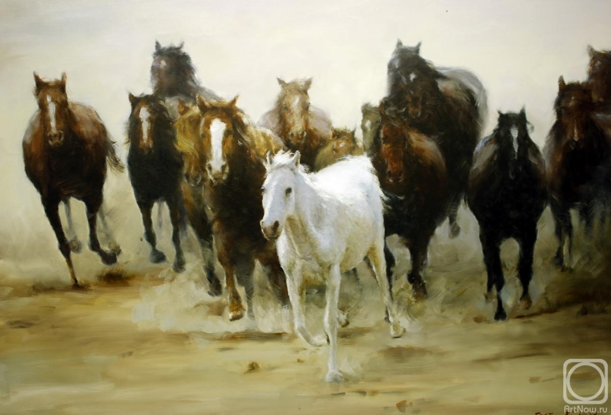 Chong . Herd of free horses