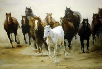 Herd of free horses. Chong 
