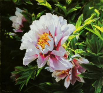 ������� ������ �����