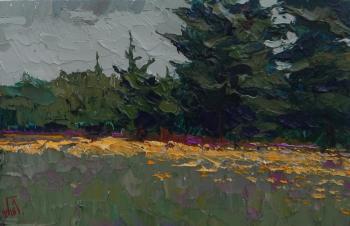Light meadow (). Golovchenko Alexey