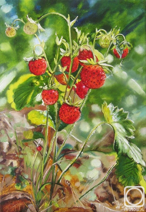 Shaykina Natalia. Wild strawberries