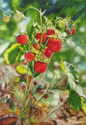Wild strawberries. Shaykina Natalia