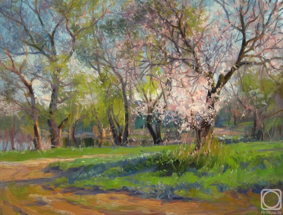 Voronov Vladimir. Willows and old apricots
