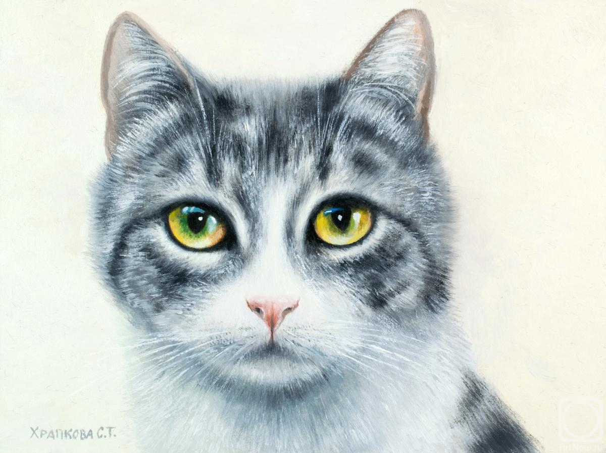 ������� ������ �� ������. �������� ��������. ���