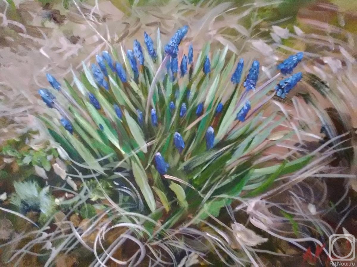 �������. ������� ������. ������� �������