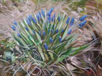 Mouse hyacinth. Korolev Andrey
