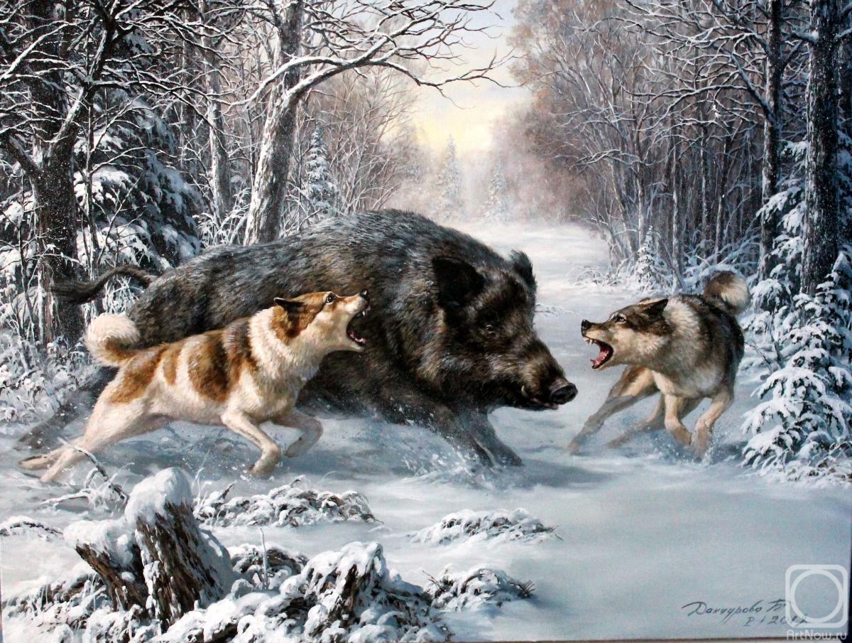 Danchurova Tatyana. Winter wild boar hunting