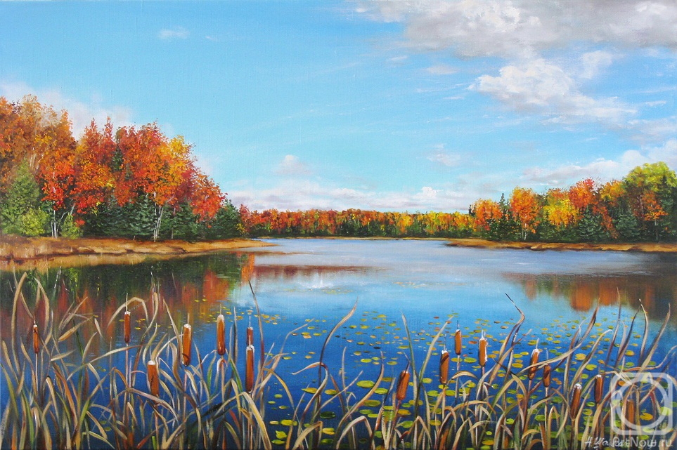 ������� ������ �� ������. ������� �������. ����� �����