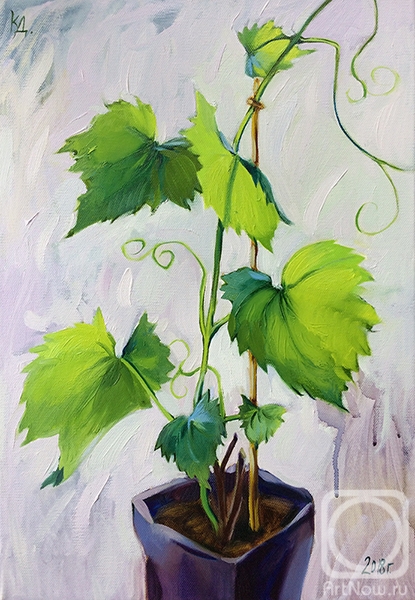 ������� ������ �� ������. ��������� ����. �����!!