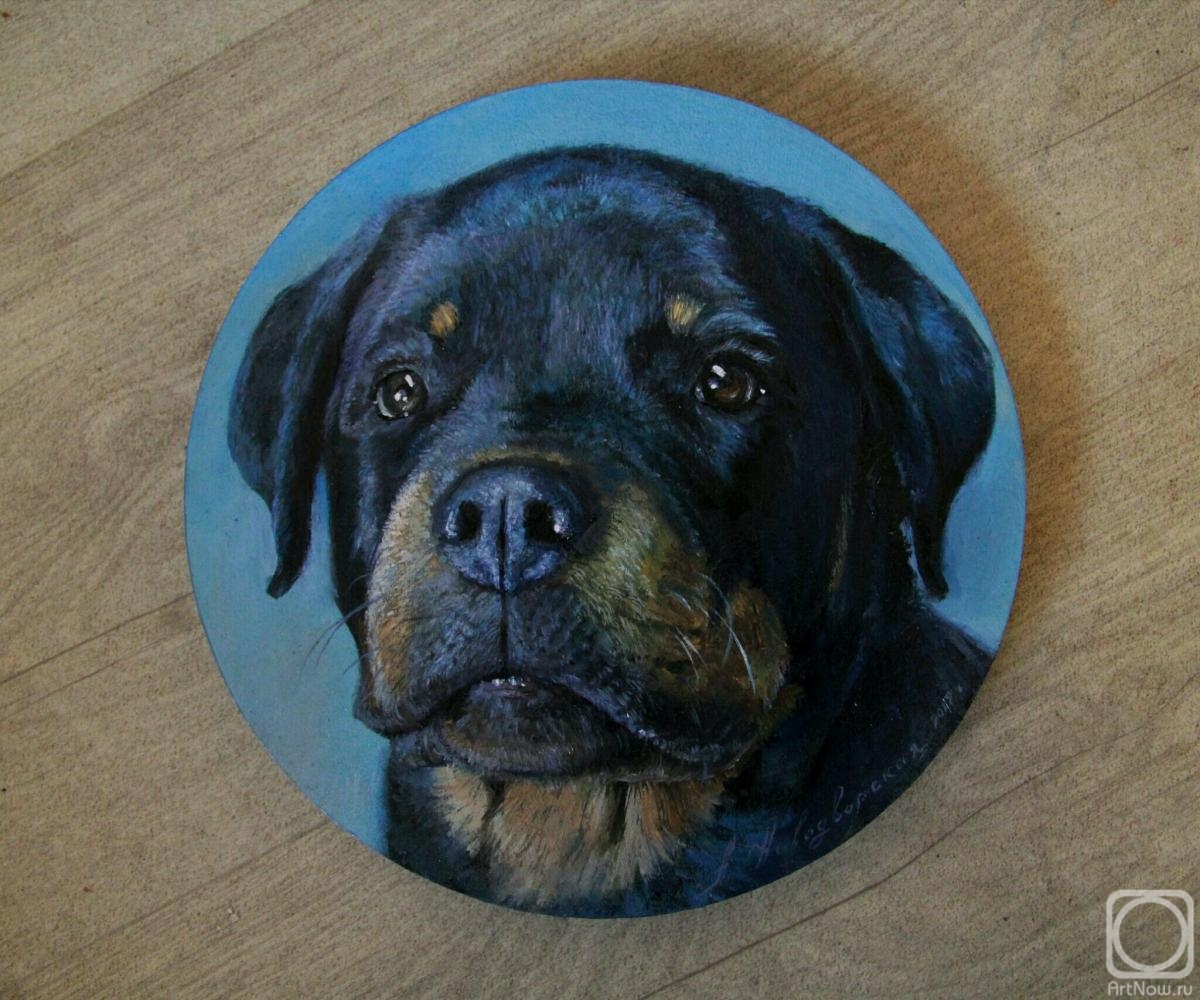 Novodvorskaya Alexandra. Portrait of a Rottweiler puppy in a circle