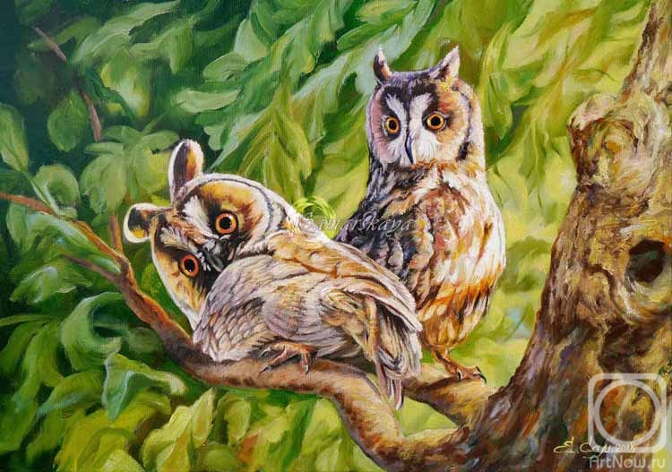 ������� ������ �� ������. ��������� �����. ������ ��������