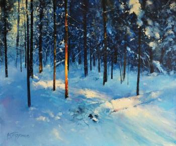 Winter plot (  ). Trubanov Vitaly