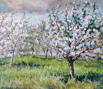 Apple blossoms. Savitskaya Sviatlana
