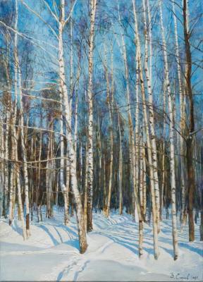 Birch trees in the snow. Gatchina. Egorov Viktor
