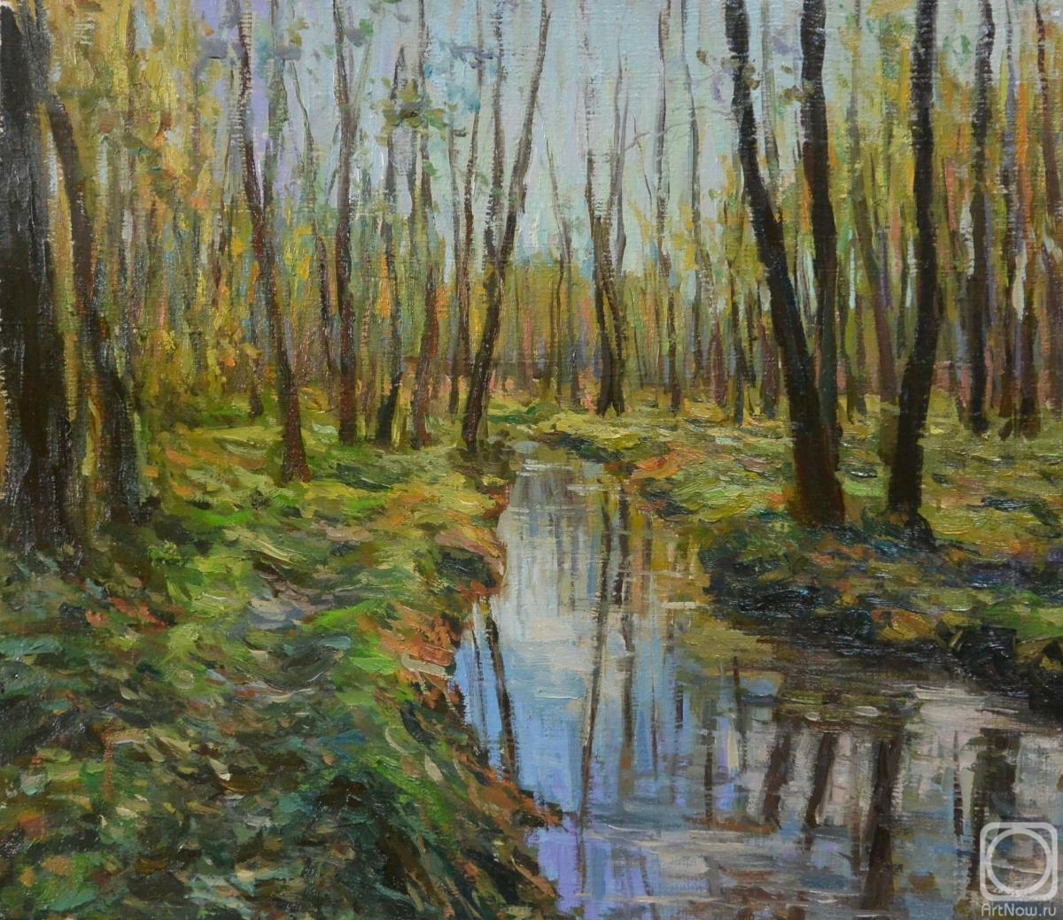 Antonova Galina. Forest stream