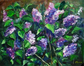Lilac bush