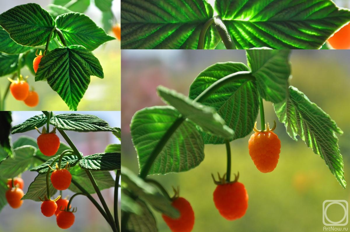 ���������� ����. ������� ����� (�������� 2)