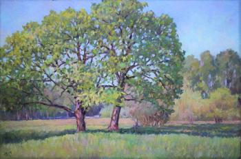 Old oak trees in Tsarskoye Selo (study)