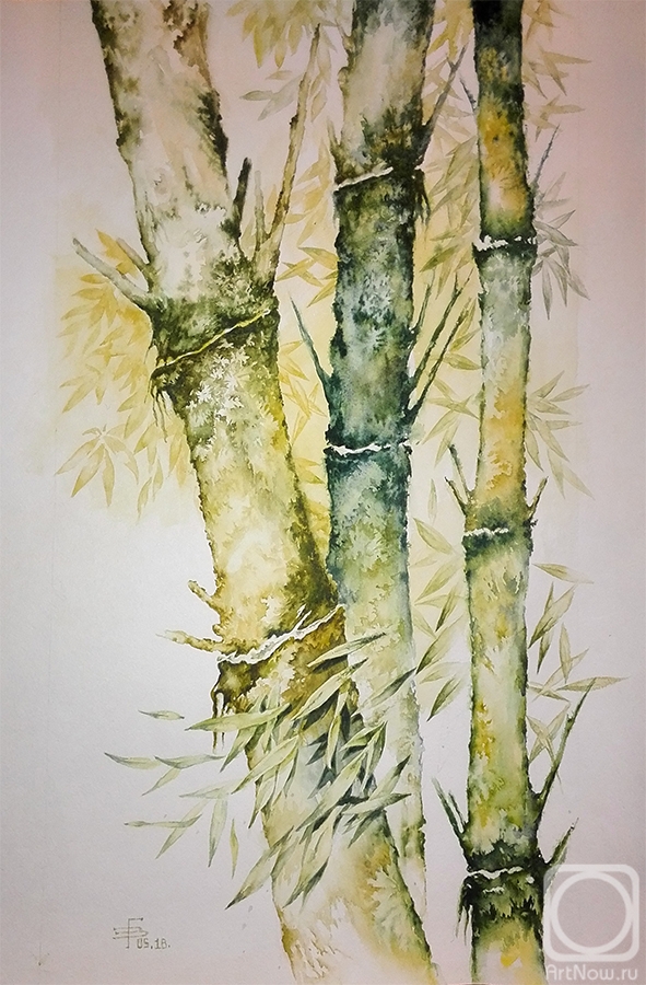 �������. ������ �������. ������