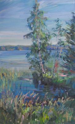 Finnish birch. Loukianov Victor