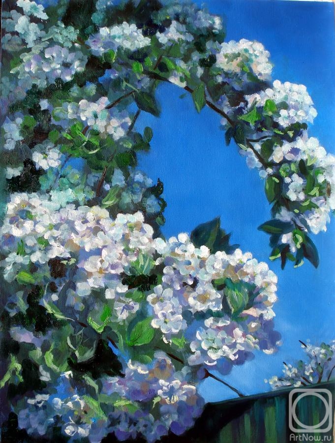 ������� ������ �� ������. ���� �����. ������ �����