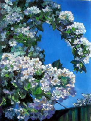 ������ �����. ���� �����