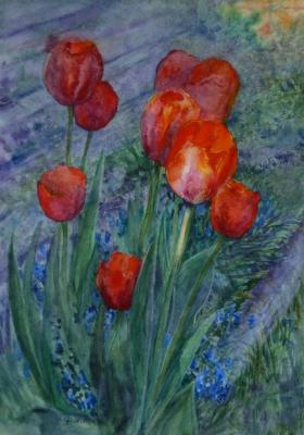 Evening tulips. Fialko Tatyana