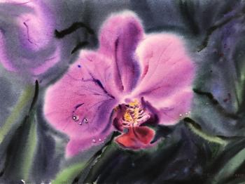 Orchid (Orchid Painting). Gorbacheva Evgeniya