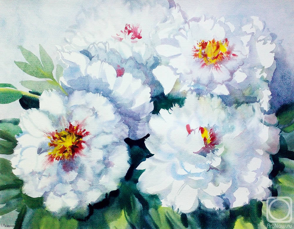 �������. ���������� ���������. ���� ����� ������