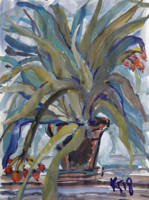 ������ �� ���� ����. �������� ������