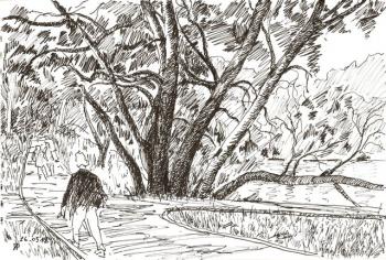 ��������. � �����. ������� ���������