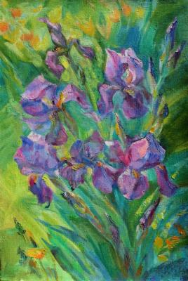 Purple Flame of Spring. Mirgorod Irina