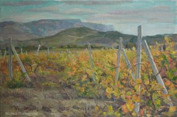 Vineyards in Crimea. Podporina Maria