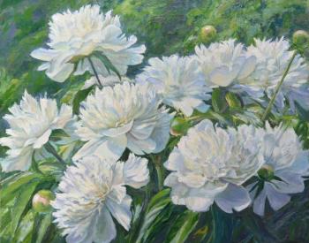 ������� ���������� ������