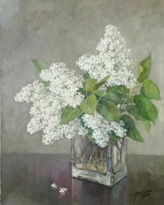 White lilac. Volkova Tatiana