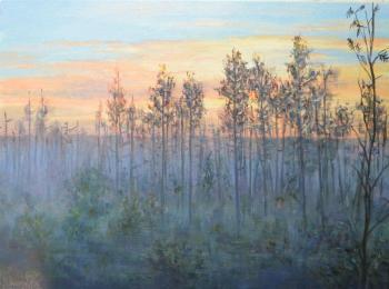 Morning in the swamp. Antonova Galina