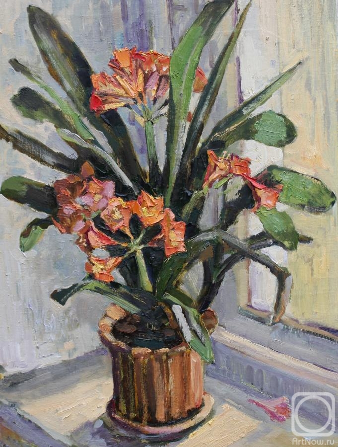 ������� ������ �� ������. ������� �������. ������