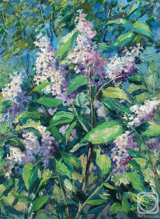 Kovalevscky Andrey. Lilac branches