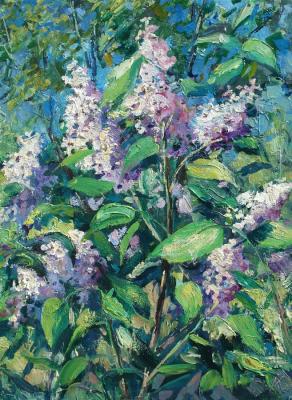 Lilac branches. Kovalevscky Andrey